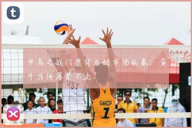 中乌之战门票背后的市场乱象：黄牛为何屡禁不止？