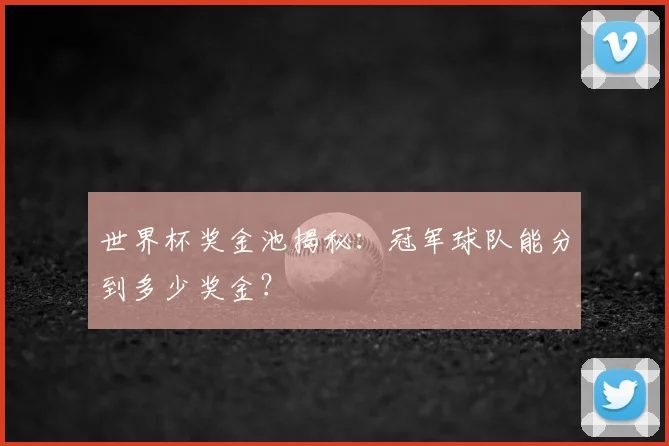 世界杯奖金池揭秘:冠军球队能分到多少奖金?