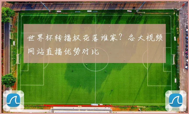世界杯转播权花落谁家？各大视频网站直播优势对比