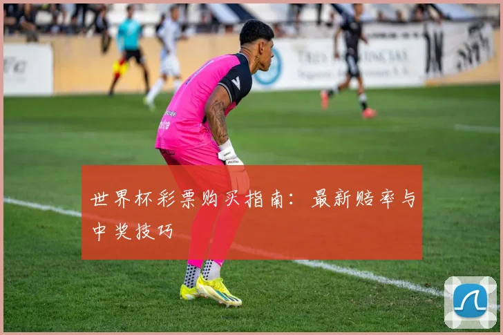 世界杯彩票购买指南：最新赔率与中奖技巧